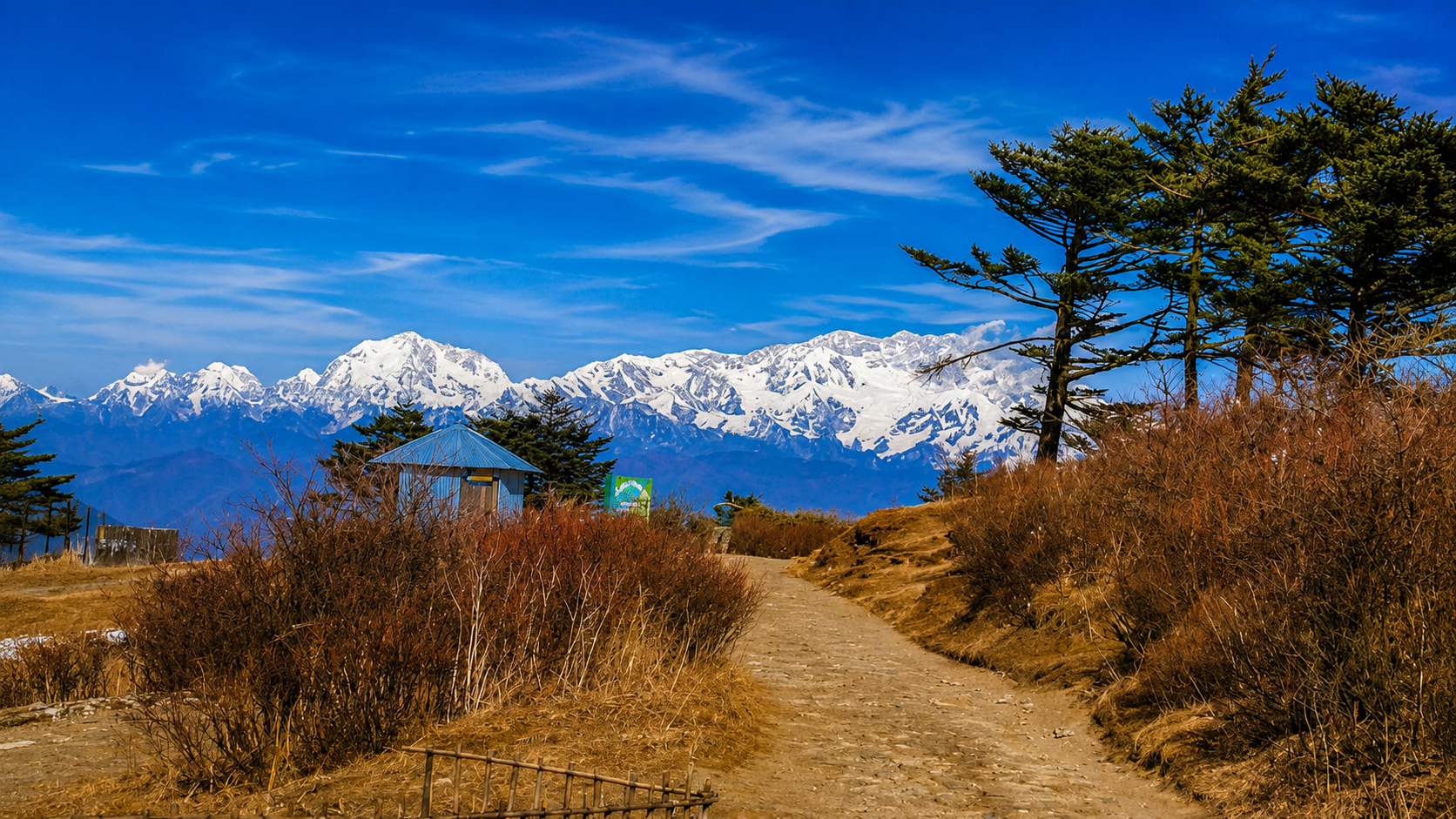 Sandakphu Summit Trek
