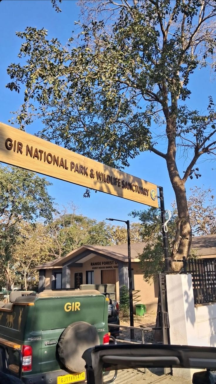 Gir Safari