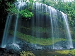 Netarhat Nature Escape