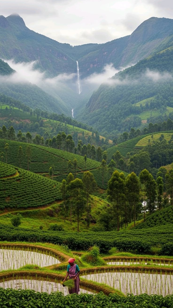 Coorg Package