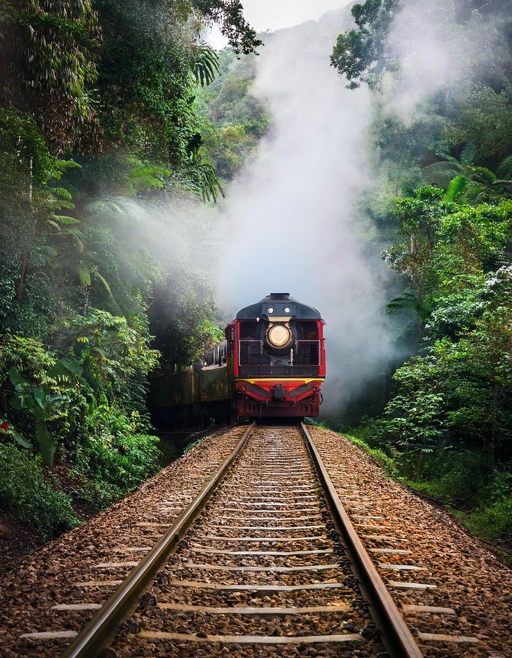 Gangtok Darjeeling Tour